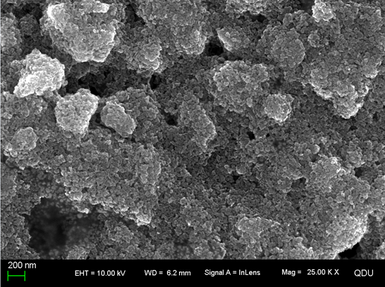 Catalyst microstructure under scanning electron microscope